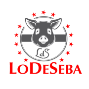 lodeseba